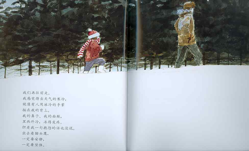 月下看猫头鹰 (08),绘本,绘本故事,绘本阅读,故事书,童书,图画书,课外阅读